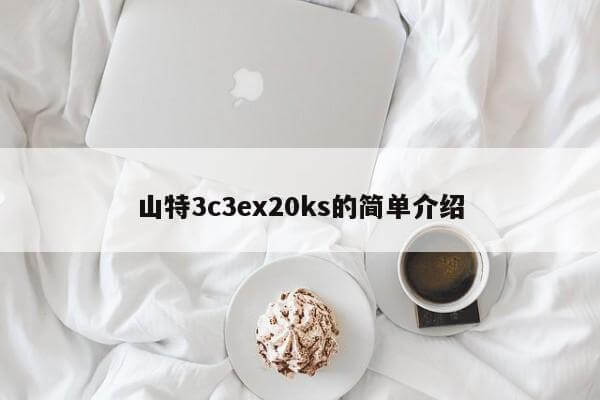 山特3c3ex20ks的簡單介紹