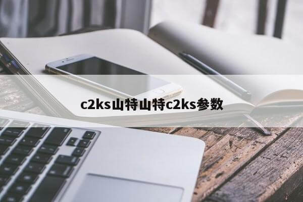 c2ks山特山特c2ks參數(shù)